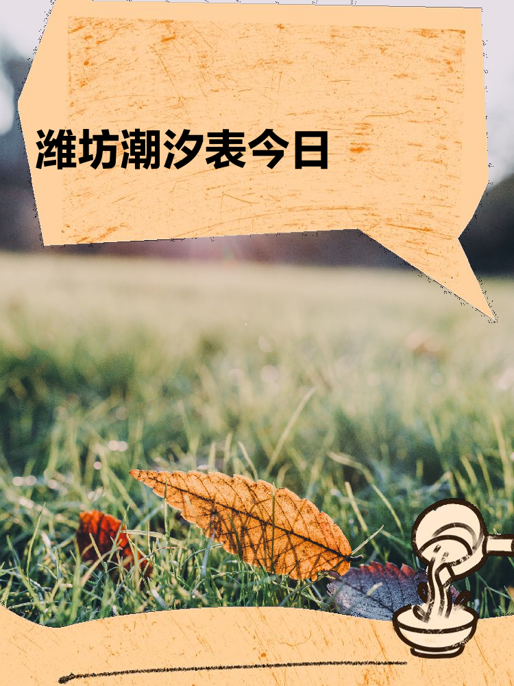山东港口潍坊港