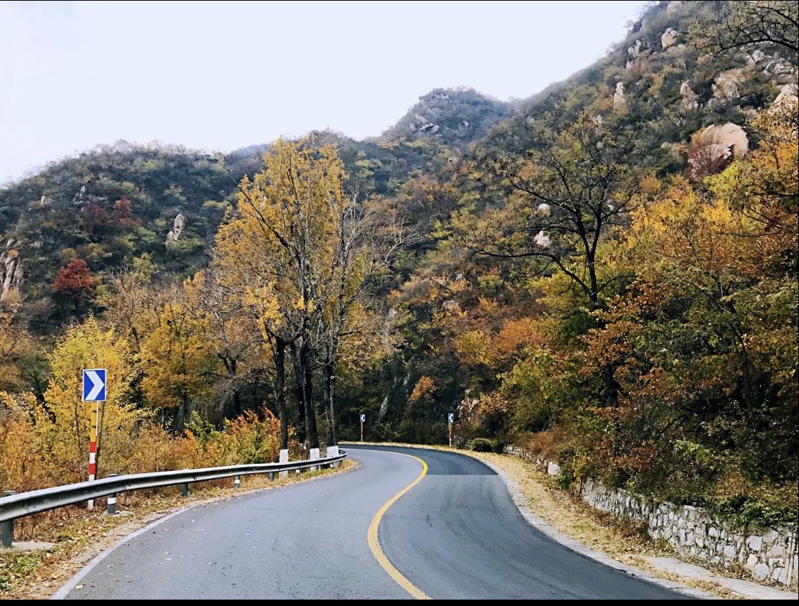 大岭后村