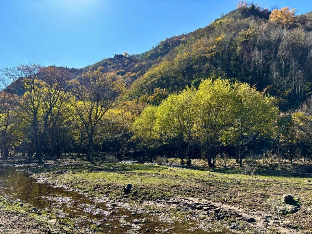 老掌沟村