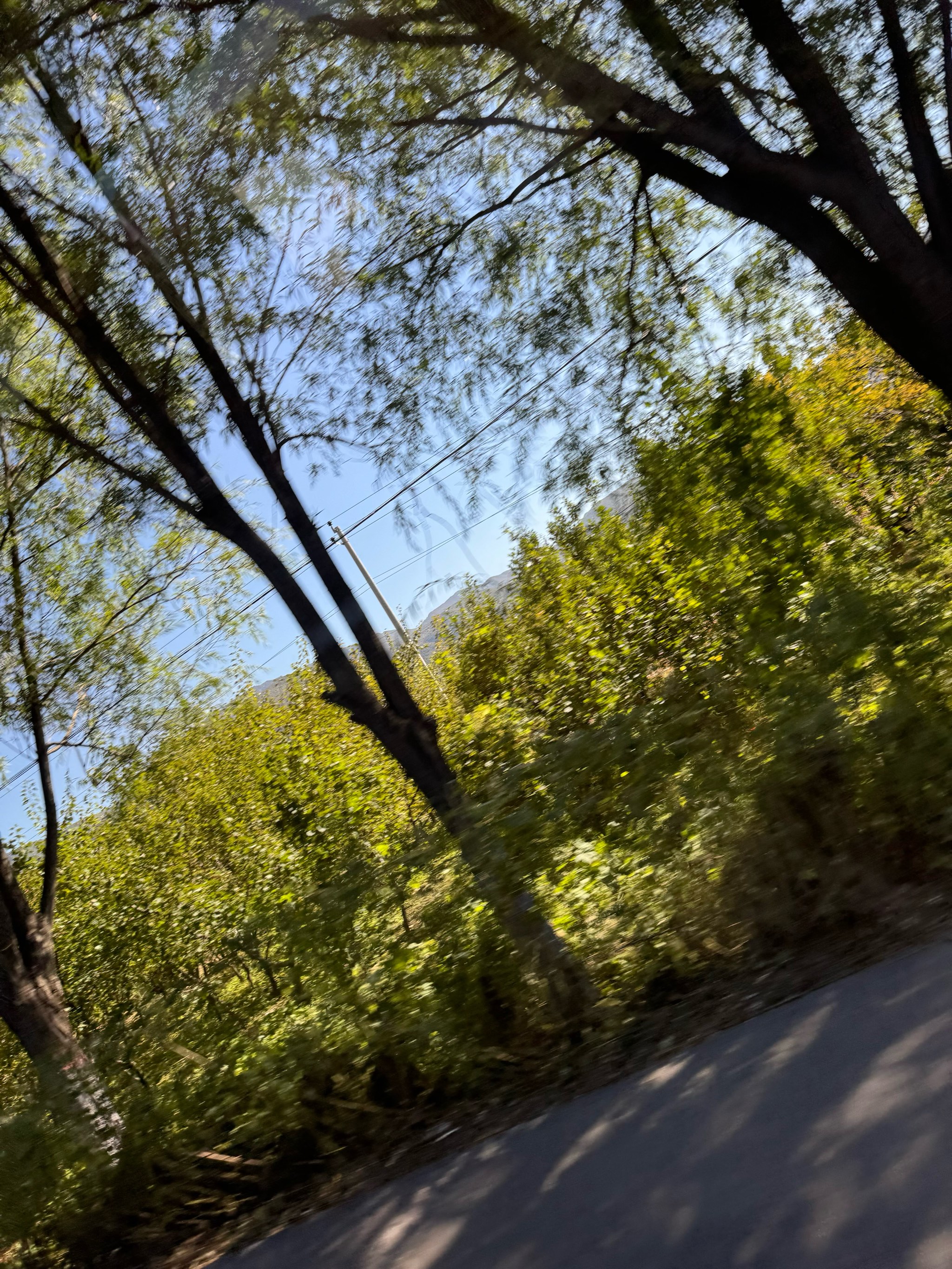 杏林隧道