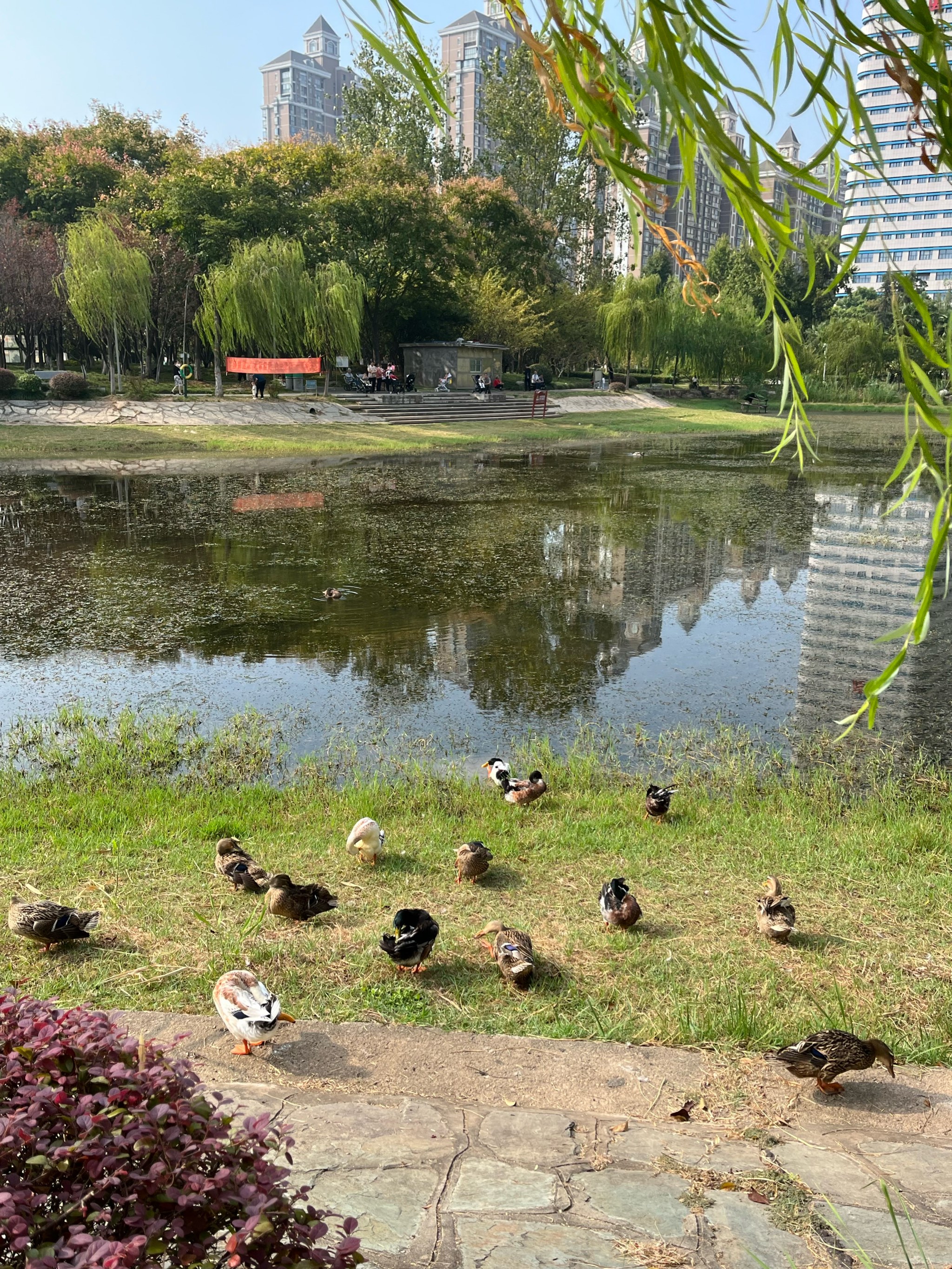 小湖
