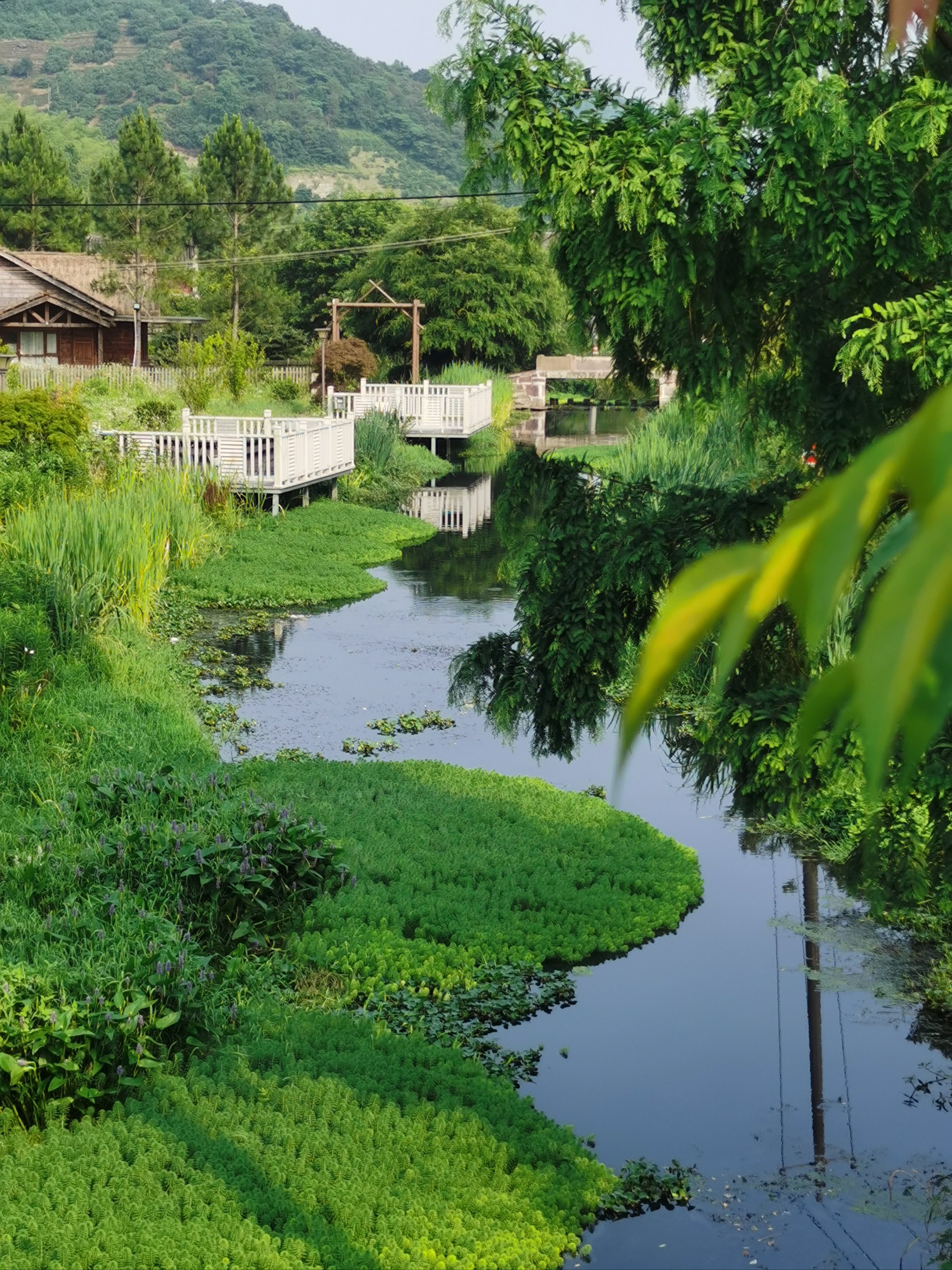 毛岙村