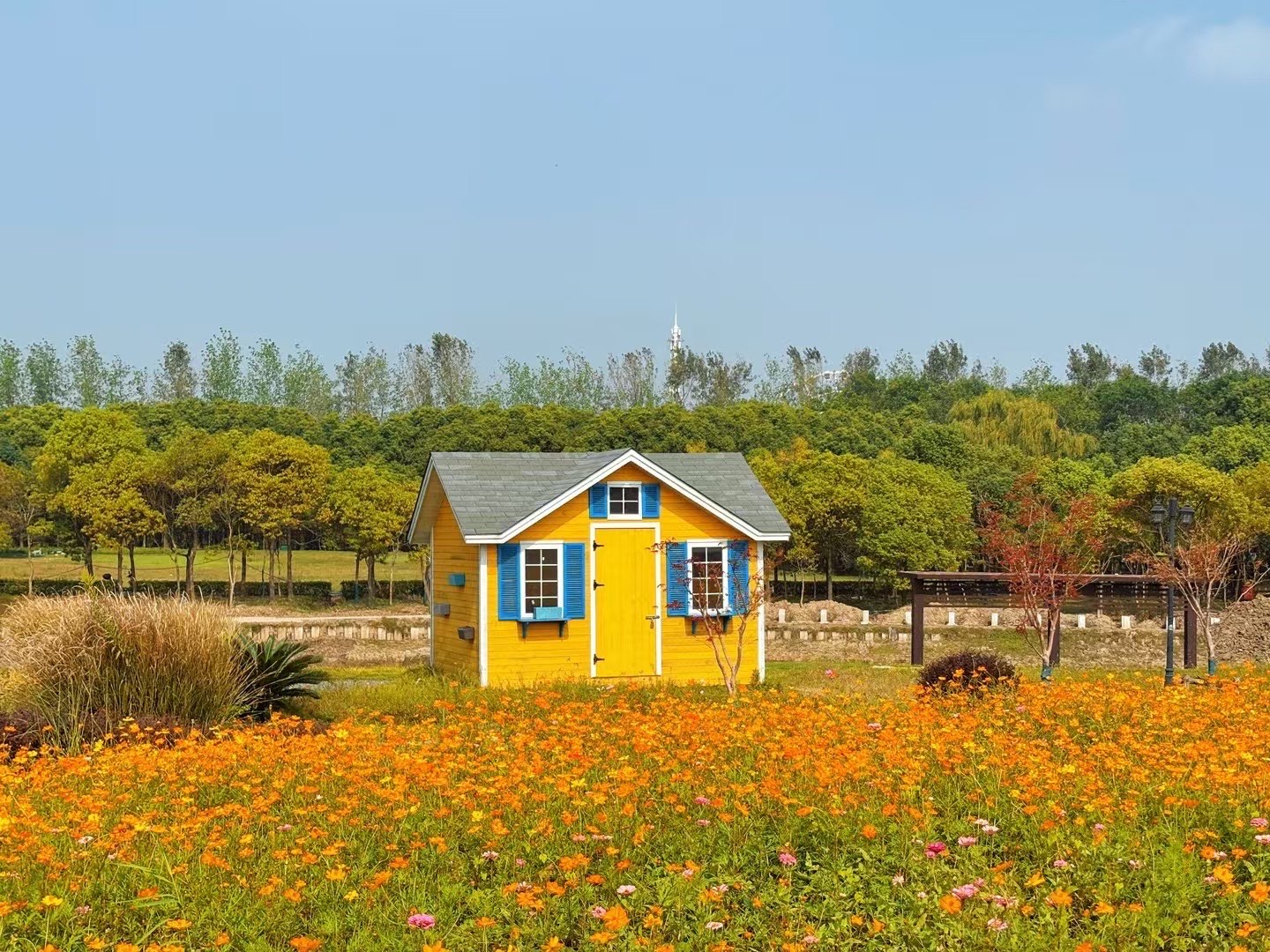 上海沈杨花卉苗木基地