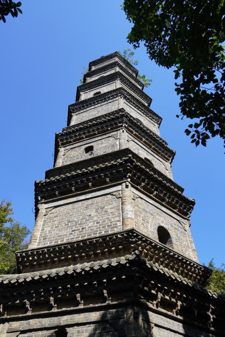 百牙塔