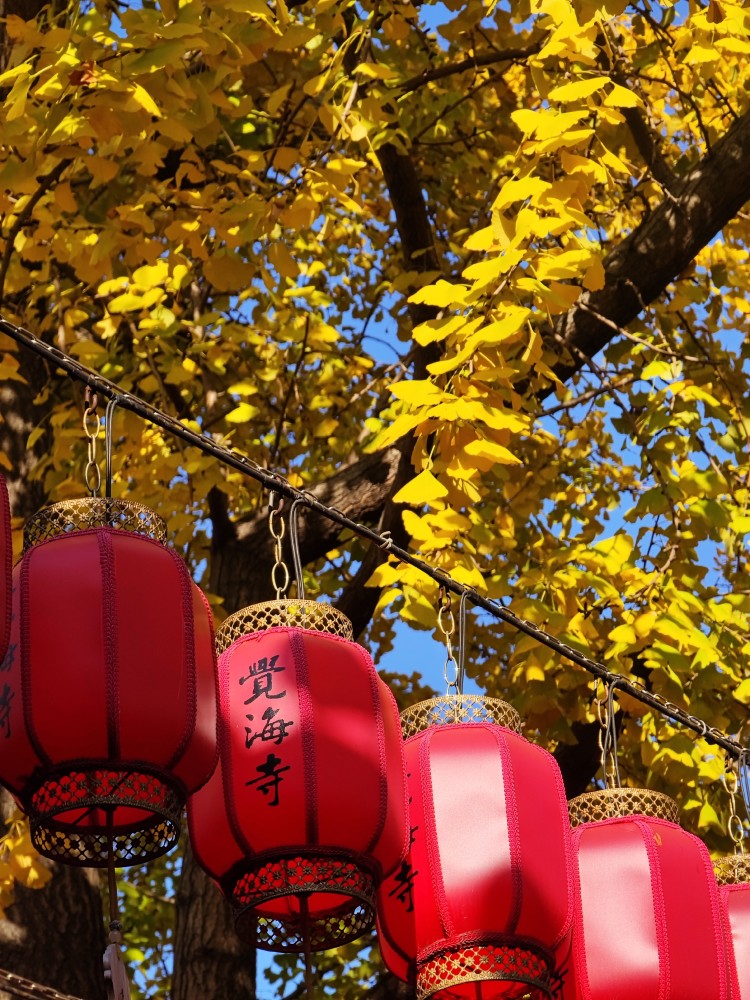 觉海寺