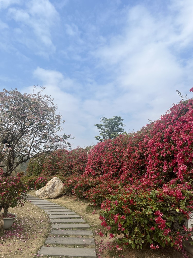荫生植物园