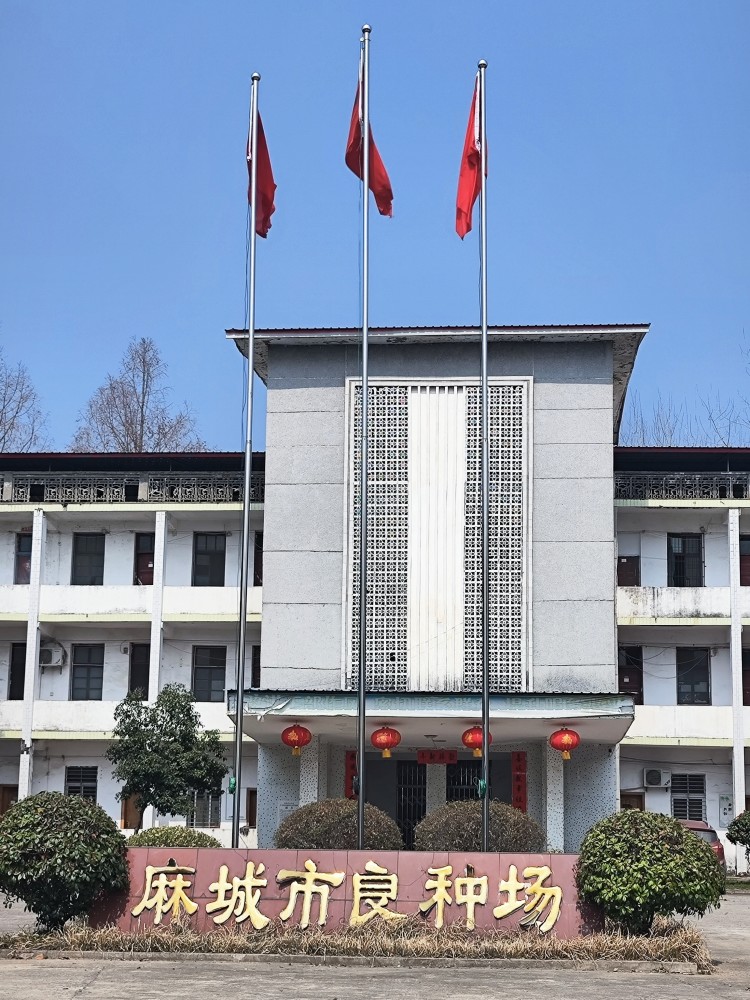 湖北省黄冈市麻城市良种示范繁殖场