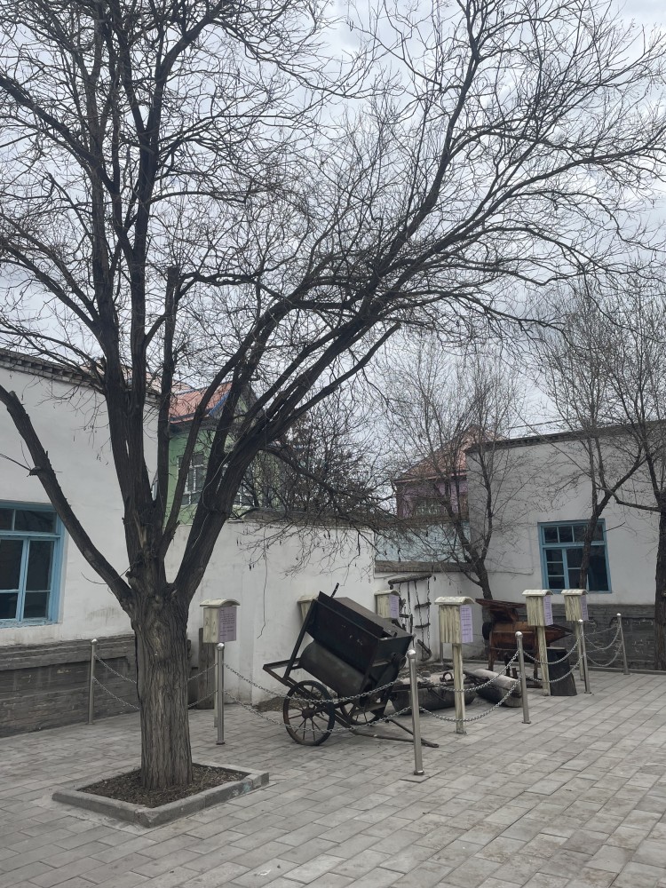 王蒙书wu