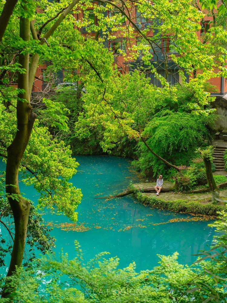 浙江大学(之江校区)