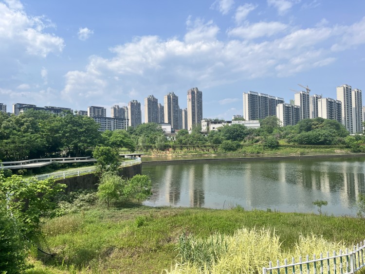 陆羽公园