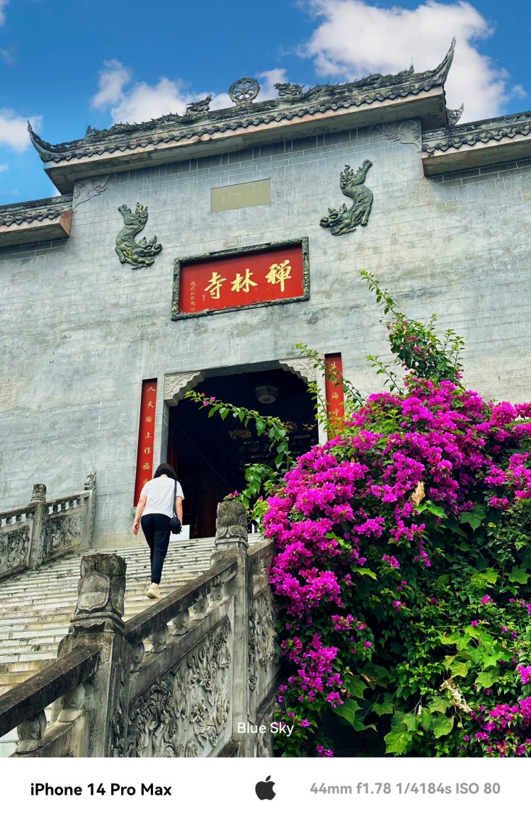 禅林寺