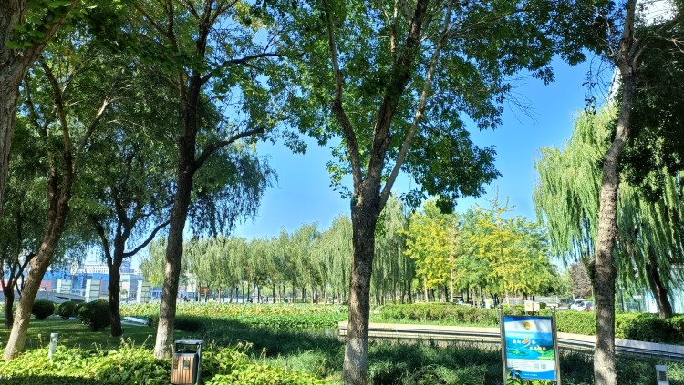 廊坊博物馆