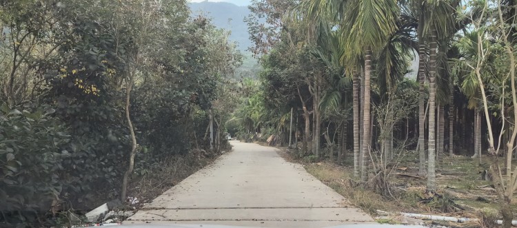 东方市江边乡新明村娜姆湖