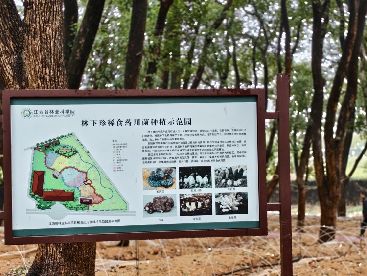 江西省林业科学院-机关党委(机关纪委)办公室