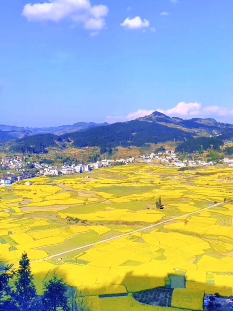 青龙十里画廊旅游区