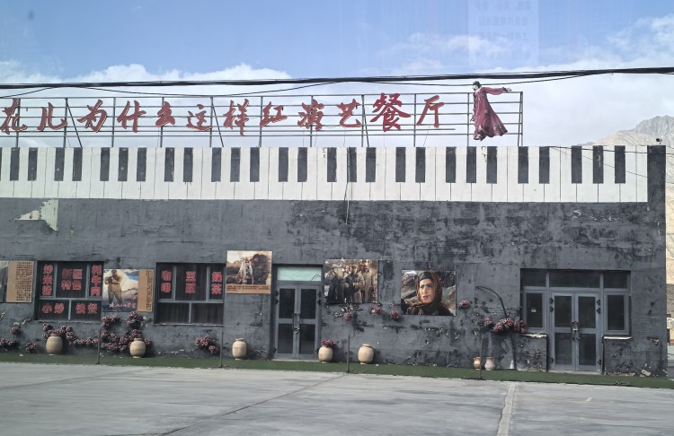 花儿为什么这样红景区