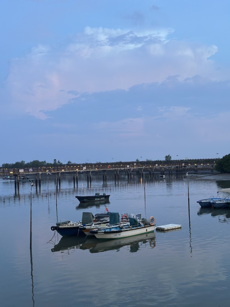 华侨城南海岛红树林湿地公园景区