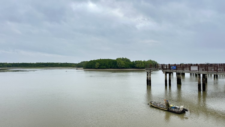 华侨城南海岛·红树林湿地公园景区