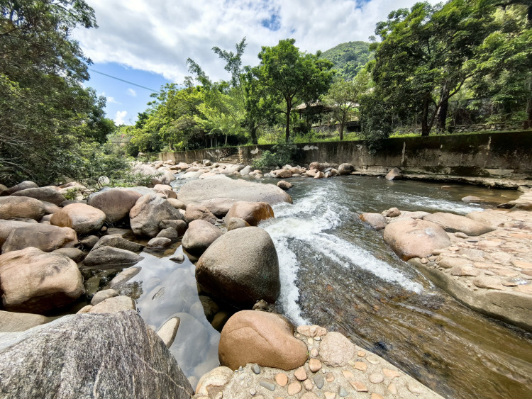 吊罗山神树景区