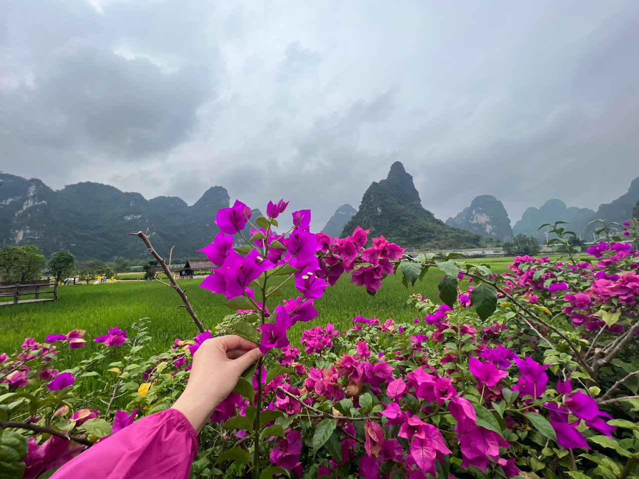 明仕旅游度假区