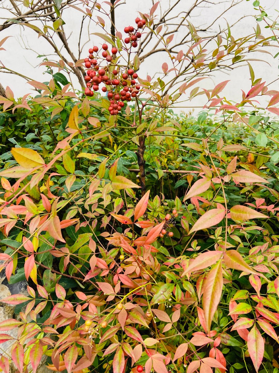 文旅逸海西岸度假营地-西岸公园