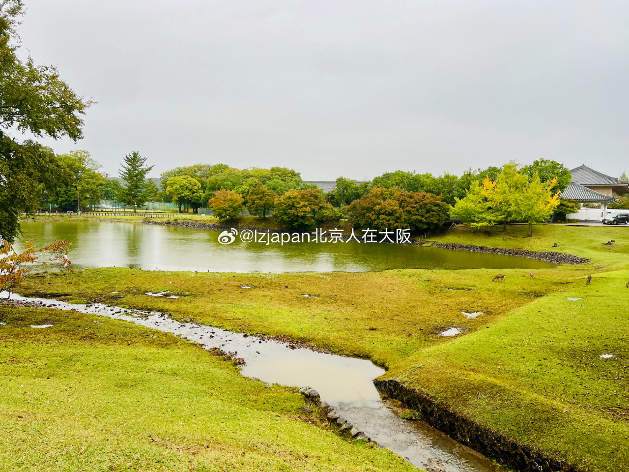 东大寺