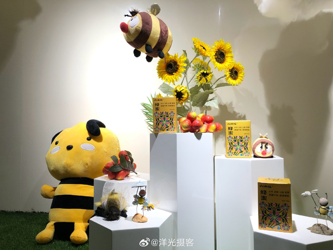 梧州甜蜜家蜂业公司