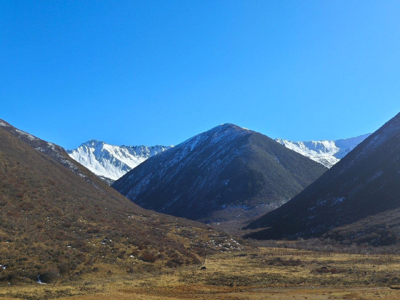 雅克夏雪山