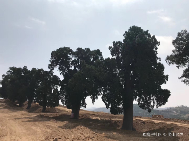 正觉寺