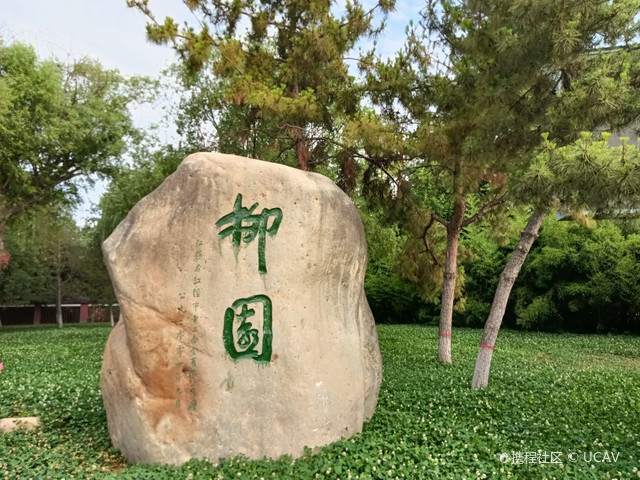 柳园