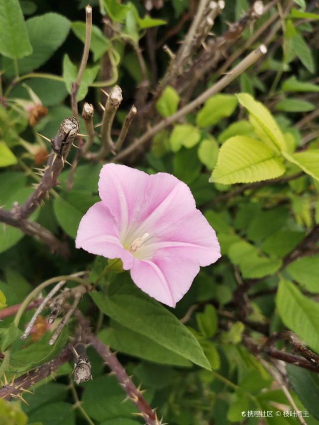 中共临夏州委党校