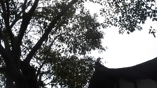 宋窖博物馆