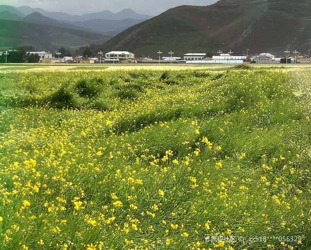 青海刚察草原肉食品有公限公司