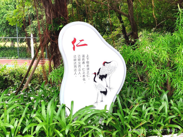 鹤山市沙坪河南岸湿地公园