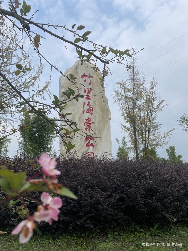 竹里海棠公园