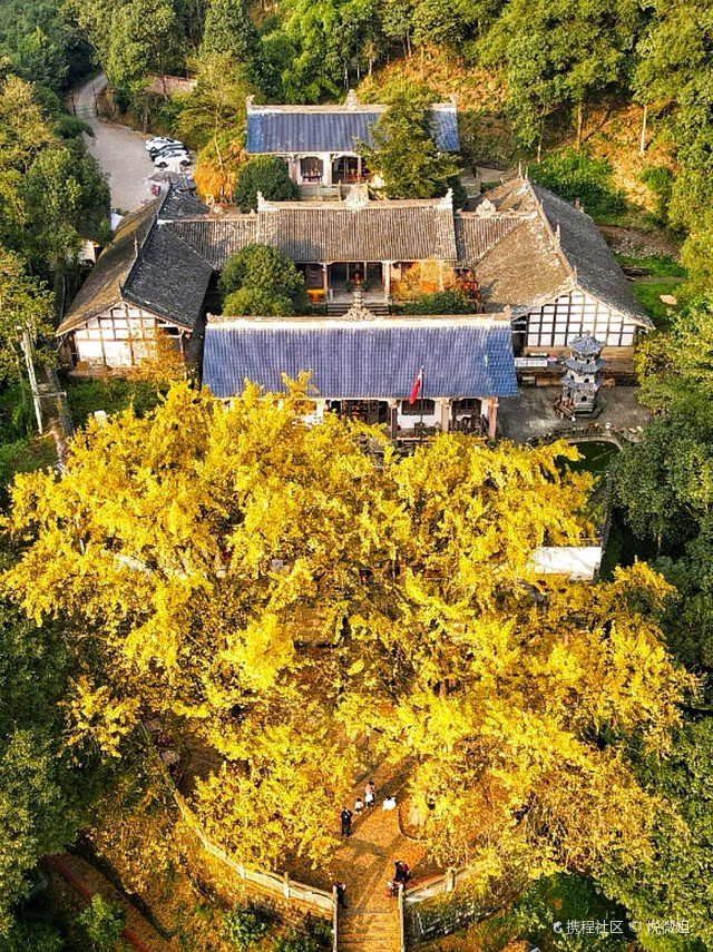 慧光寺