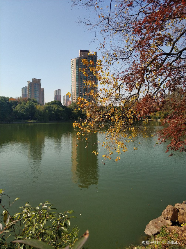 南湖公园