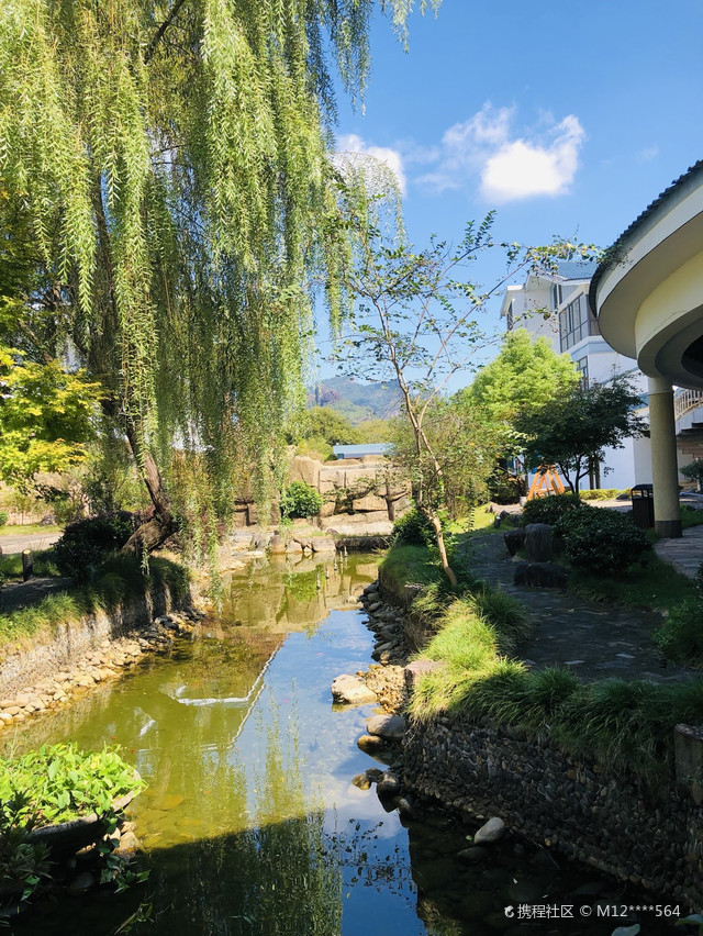 雅致景观大床房（含双人营养早餐）
