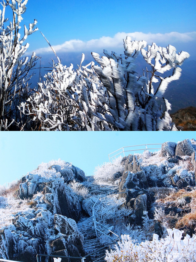 金子山