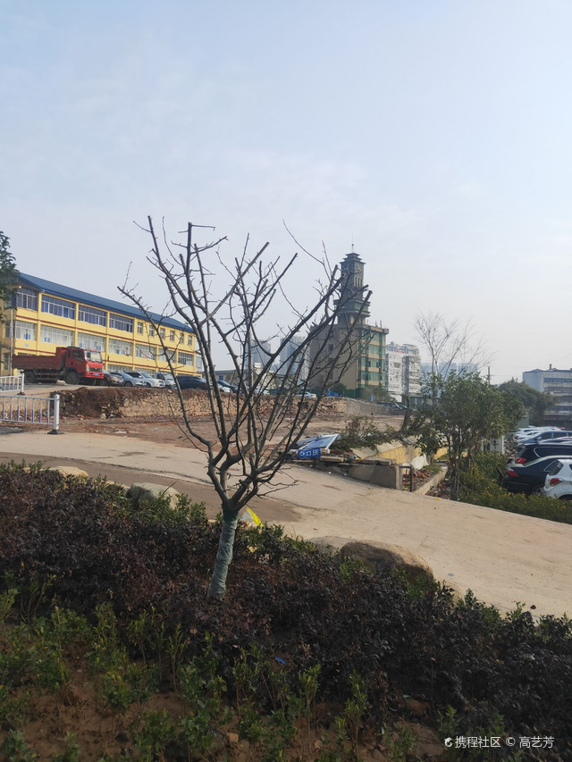西山小学