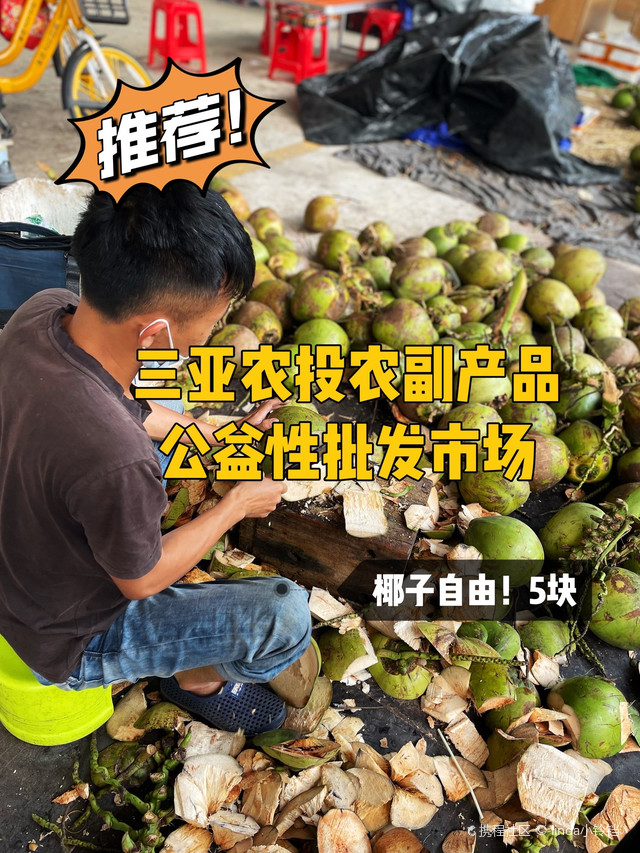 三亚市政府农产品公益性批发市场
