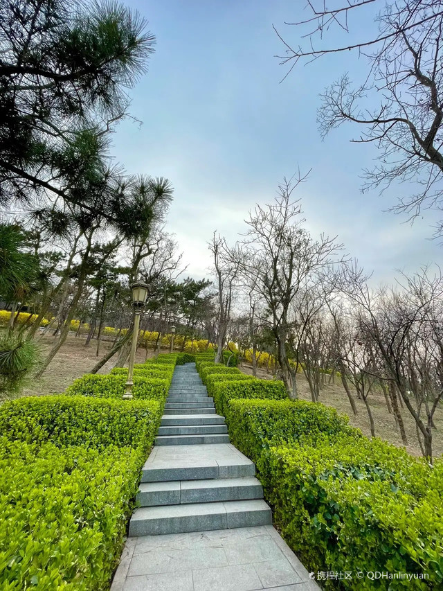 山头公园