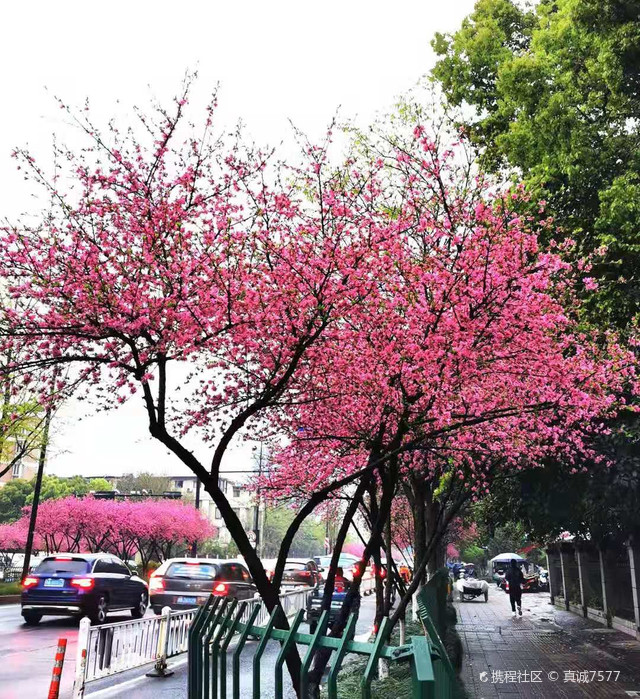 茶经楼