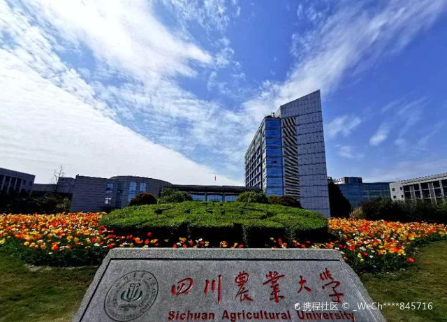 四川农业大学(成都校区)