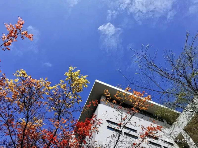 四川农业大学(成都校区)
