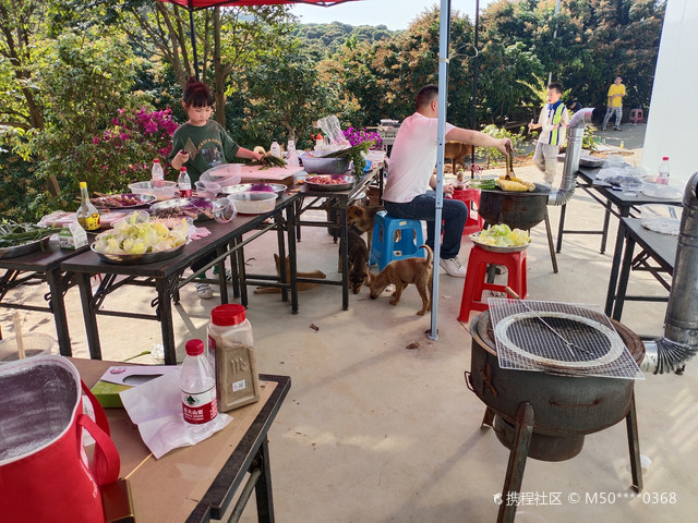东莞大朗凤山旅游农庄(凤和中路)