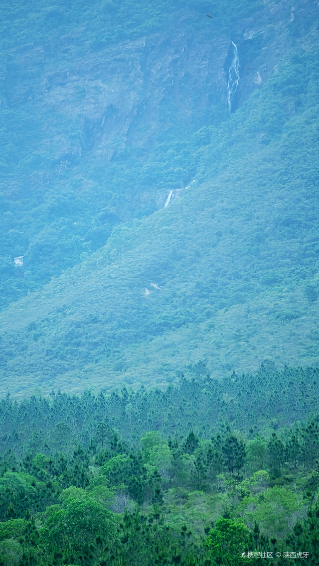 莲花村