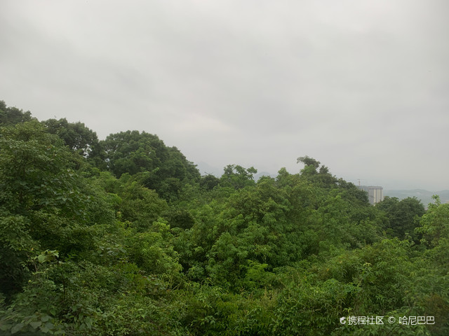 广西都安翠屏山森林公园