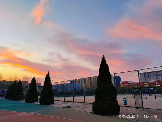 石家庄学院