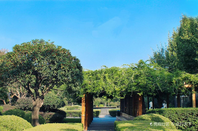 临沂市正直驾校训练基地(河东总校)